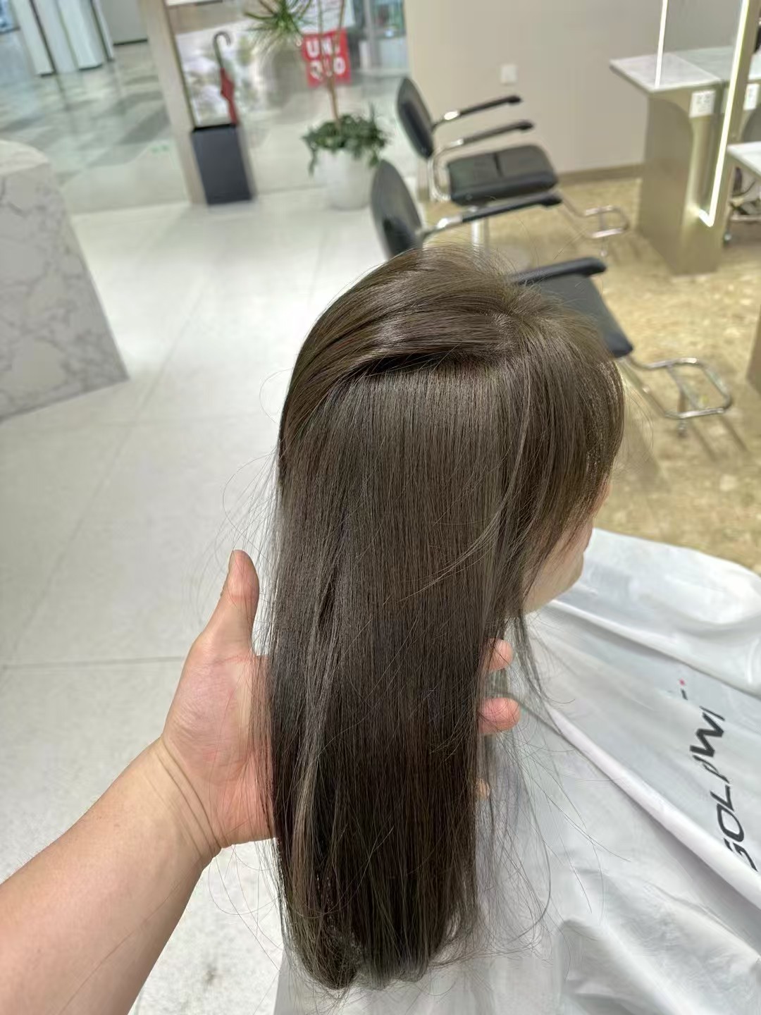 作品